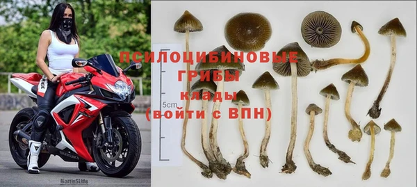 PSILOCYBIN Горняк