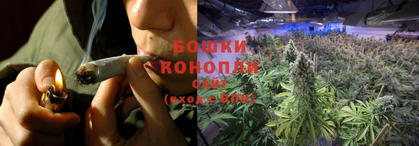 PSILOCYBIN Горняк