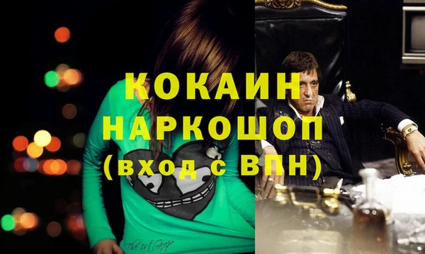 PSILOCYBIN Горняк