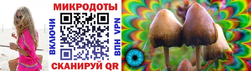 Галлюциногенные грибы ЛСД дарк нет Telegram Зеленогорск купить KRAKEN онион