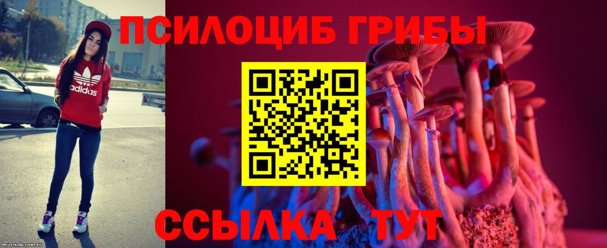 Галлюциногенные грибы мицелий Зеленогорск