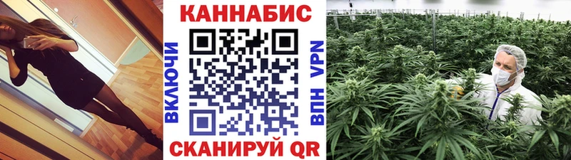Бошки Шишки THC 21%  Зеленогорск 